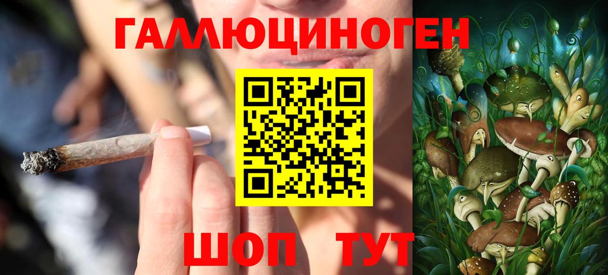 Псилоцибиновые грибы GOLDEN TEACHER Советск