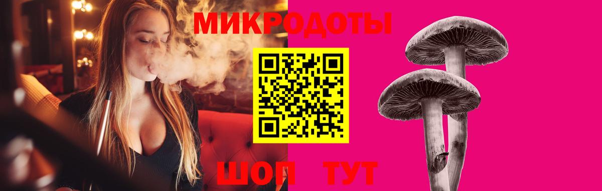 Советск  Галлюциногенные грибы Psilocybe  Вход с VPN 
