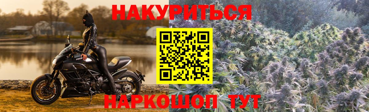 Шишки марихуана Amnesia Советск